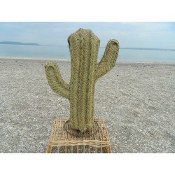 petit cactus en osier