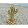 petit cactus en osier