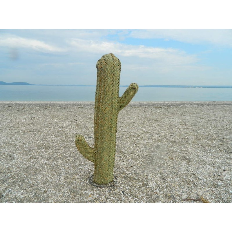 cactus en osier pour décoration