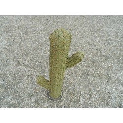 cactus en osier pour décoration